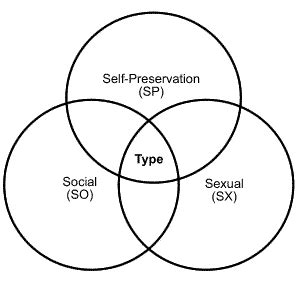 enneagram instinctual variants|Guide: Instinctual Variants (SP, SO, SX) .